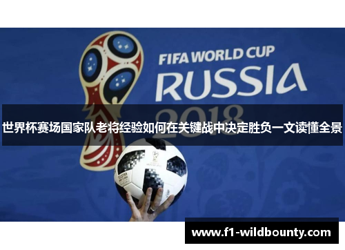 世界杯赛场国家队老将经验如何在关键战中决定胜负一文读懂全景